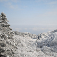 峨眉山风景_www.qqtu8.net